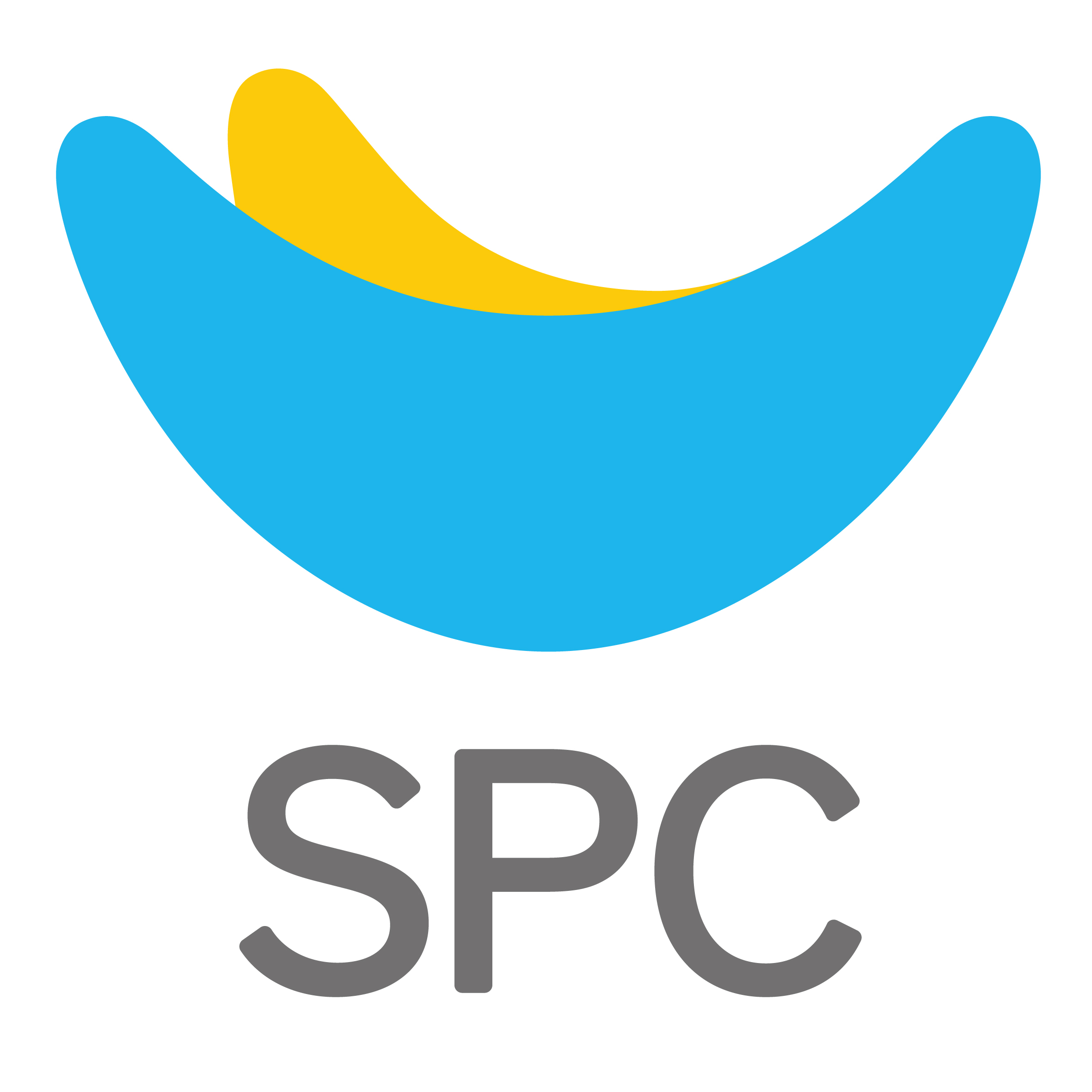 Logo 1